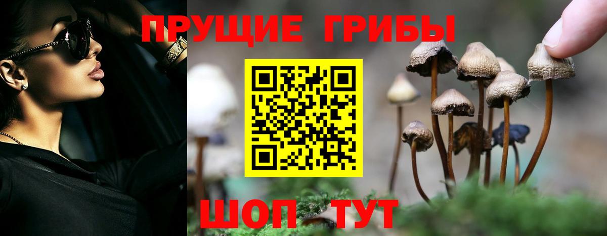 Псилоцибиновые грибы ЛСД  Вход с VPN  где продают наркотики  Самара 